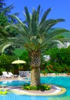 Hotel Internazionale