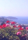 Hotel Villa Fiorentina
