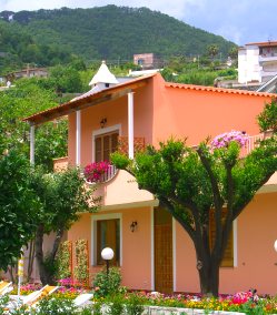 Hotel Le Camelie