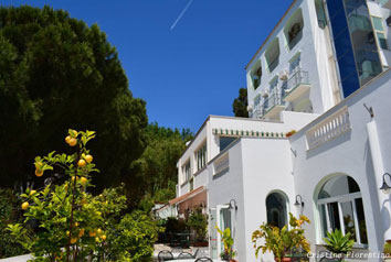 Hotel La Ginestra - foto nr. 21